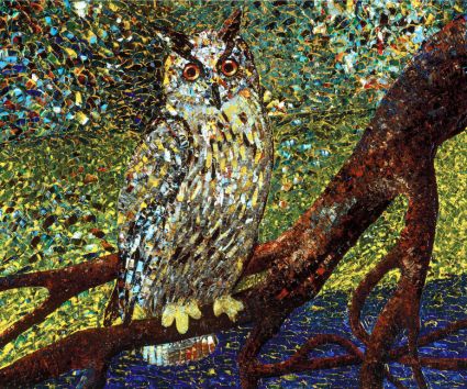 Le hibou mystérieux