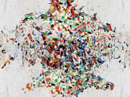 L'homme oiseau
