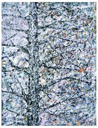 Paysage hivernal